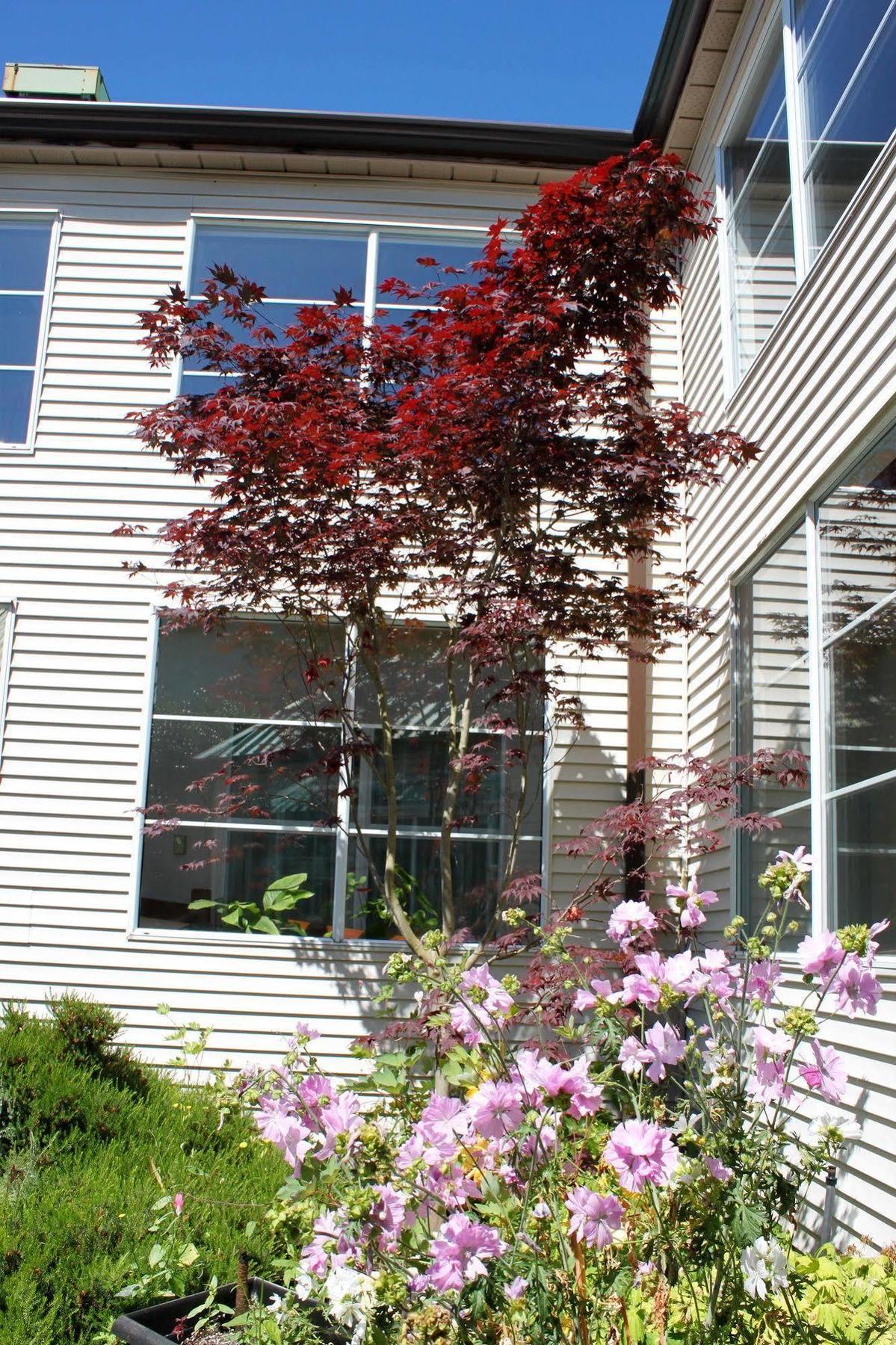 Gibsons Garden Hotel Exterior photo